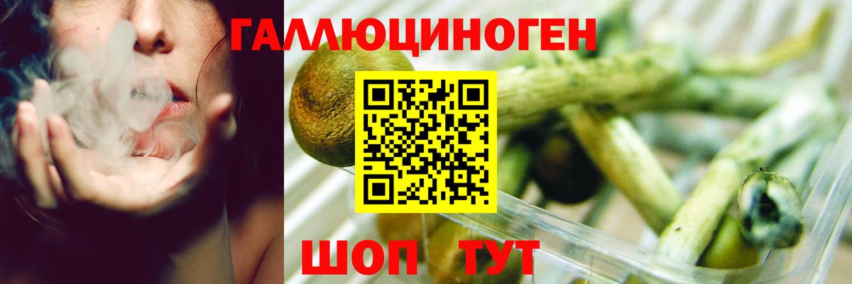 Галлюциногенные грибы Magic Shrooms  Вход с VPN  Галлюциногенные грибы Cubensis  Тихвин 
